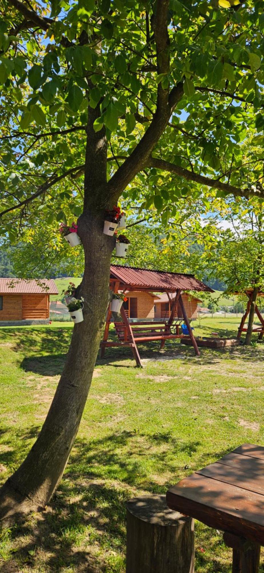 Villa Casute Zavoi Bulz Exterior foto